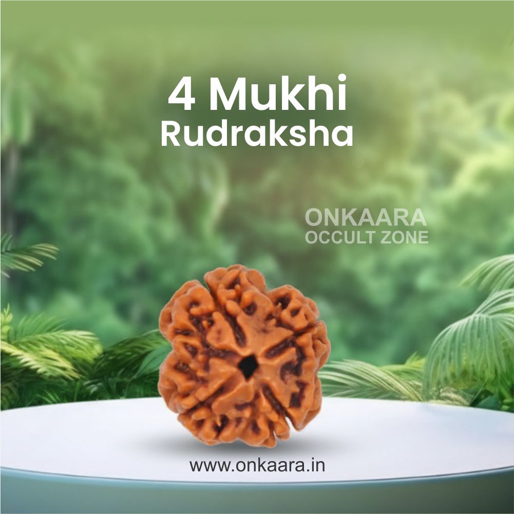 4 Mukhi Rudraksha