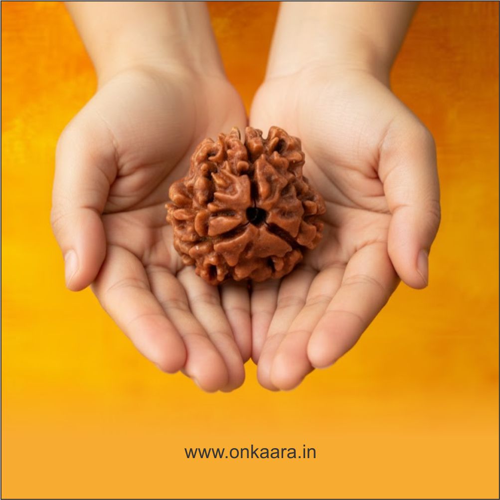 3 Mukhi Rudraksha - Image 2