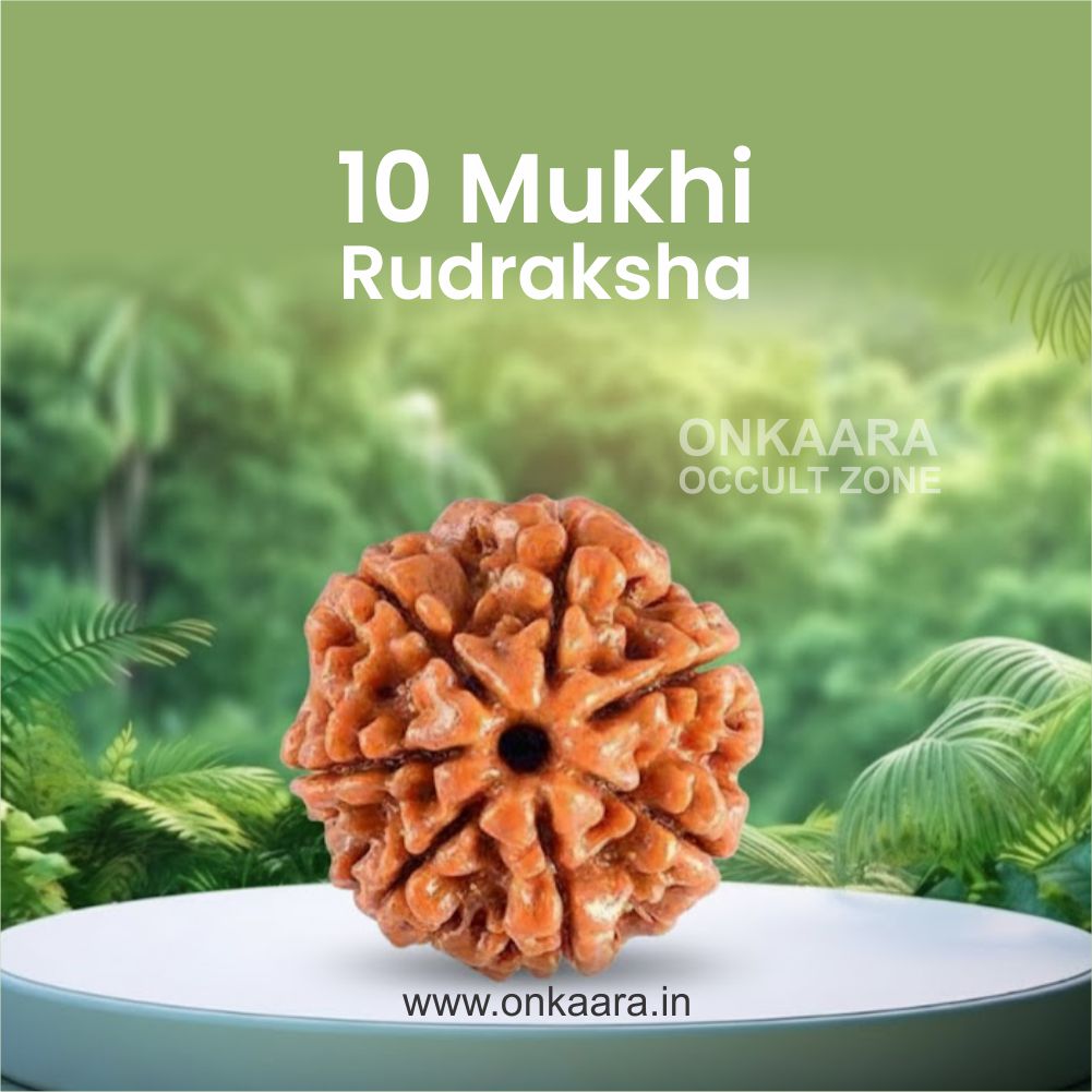 10 Mukhi Rudraksha